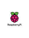 Raspberry